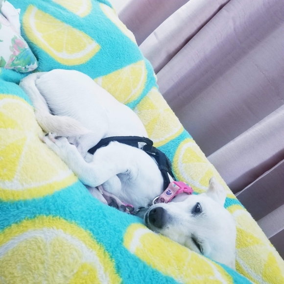 Hello I am Kim and Welcome to my Closet - Picture 13 of 16